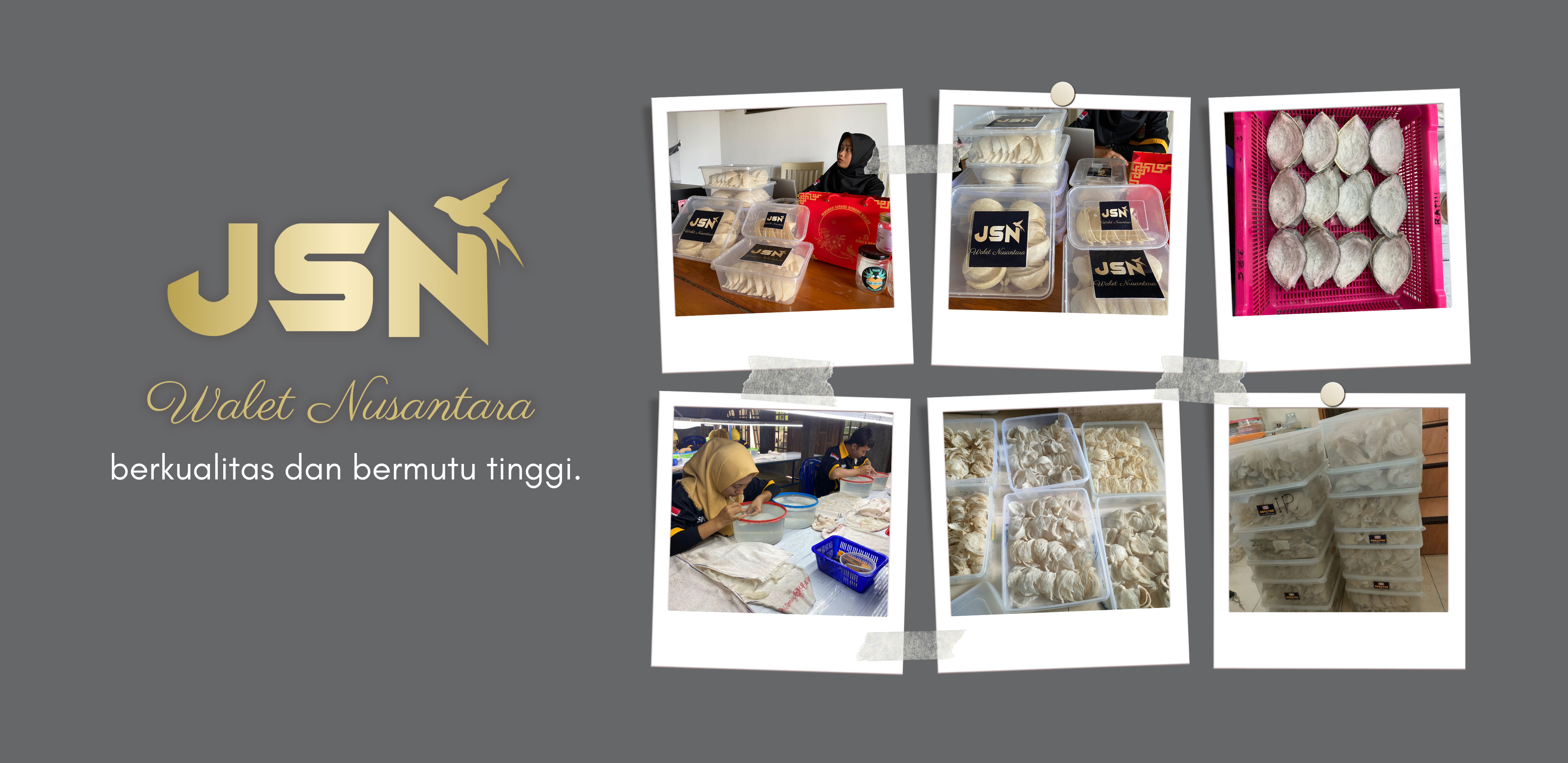 Walet Nusantara